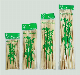  20 25 30 35 Cm Long Fruit Bamboo Skewers Bamboo Round Skewer