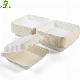  8inch Food Box Eco-Friendly Biodegradable Disposable Sugarcane Bagasse Pulp Food Container Clamshell Bento Lunch Box High Quality