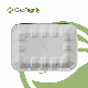  Biodegradable Eco-Friendly Disposable Compostable Sugarcane Bagasse Food Tray Rectangle Paper Plate for Wedding