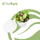 Food Container Compostable Disposable Sugarcane Bagasse 16 Oz (425ml) Bowl manufacturer