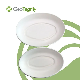 Biodegradable Disposable Sugarcane Bagasse Paper Pulp Mould Soup Salad Bowl with Lid Sugarcane Bagasse Bowl Tableware manufacturer