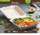  Biodegradable Sugarcane Takeaway Tableware Food Bento Packaging Box Disposable Bagasse Paper Pulp Box Cake Package