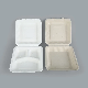  Sugarcane Pulp Disposable Box 9 Inch/9 Inch Three Grid (Z-106)