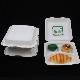  Biodegradable Disposable Sectioned Food Container, Lunch Box