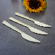  Disposable Plastic Cutlery 178mm Length PS Plastic Knife for Takeaway