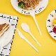  Bpi OEM ODM Eco Biodegradable Compostable PLA Cutlery