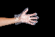  Multi-Functional Disposable HDPE LDPE CPE TPE EVA PE Plastic Poly Gloves for Food Handling