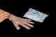  Disposable Plastic Poly PE Gloves for Cooking Kitchen Cleaning Food Handling HDPE LDPE CPE TPE EVA