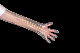  Wholesale Food Grade Plastic Poly PE HDPE LDPE CPE TPE EVA Disposable Multi-Functional Gloves