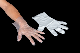  Disposable Plastic Poly PE HDPE LDPE CPE TPE EVA Medical Protective Waterproof Food Handling Gloves