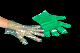  Kitchen Cooking Disposable HDPE LDPE CPE TPE EVA PE Plastic Poly Multi-Functional Gloves