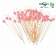 Manufacturer Supply Wholesale Price BBQ Sticks Wooden Skewer manufacturer