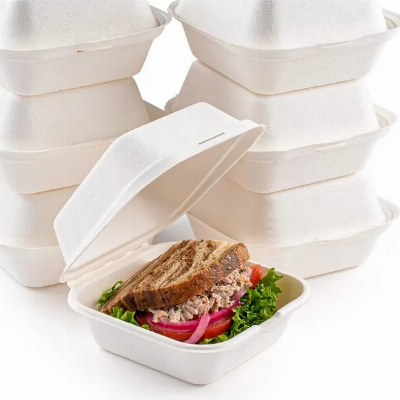 Eco Friendly Biodegradable Food Packing 6" X 6" Hinged Container