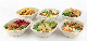 1000ml Square Box White Paper Disposable Bagasse Manufacturer Biodegradable Food Container