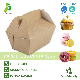 Eco-Friendly Biodegradable Paper Food Box Disposable Food Container