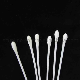 Disposable Medical Plastic Stick Cotton Buds, Cotton Swab