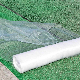  Woven Mosquito Screen/Rolling Insect Net Price Anti Insect Mesh Netting Plant Insect Proof Net