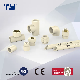  Hot and Cold Water Plastic Fitting ASTM D2846 Standard Plastic/CPVC/Era/Pressure Connector Pipe Fittings