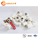 PPR Flange Saddle Elbow Tee Coupling Valve Reducer Male and Female Fitting