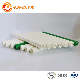  Pn16 Pn25 Polypropylene Random PP-R Pipe for Hot Water Supply