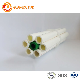 PPR Pipes for Cold and Hot Water PPR Fittings