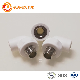 Hot Water Supply Plumbing Materials PPR Brass Pipe Fitting