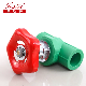  20mm Pn16 PPR Gate Valve PPR Globe Valve