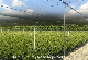 HDPE Customized Agricultural Shade Net Plastic Netting Greenhouse Net AG Netting manufacturer