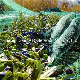  HDPE Knitted Olive Netting Olive Harvest Netting Suppliers and Manufacturers