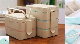  3 Layers Wheat Straw Lunch Box Containers, Leak Proof Bento Box (Green) /Plastic Lunch Box