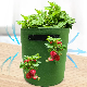  Fabric Grow Pot Vegetable Flower Herb Strawberry Planter Garden Flower Planting Pots Felt Grow Bag