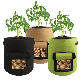  Low Price Waterproof Poly Garden Plant Bag