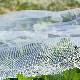 Plastic Anti Bird/Hail/Insect Plants Protection Net for Agriculture
