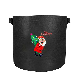  Customized Festival Printed Non-Woven Growing Bag for Halloween