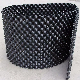 Plastic Root Control Pots/Air Pruning Container/Air Pruning Pot