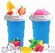 Hot Sale Ice Cream Cube Tray Silicone Smoothie Straw Slushy Cup Household Fast Refrigeration manufacturer