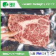 Meat Vacuum Packaging Bags Pouches