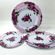  China Factory Supplier Melamine Tableware Dinnerware
