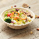  Biodegradable Disposable Pulp Bowl, Large Disposable Eco Compostable Chili Soup Paper Bowls, Plastic Free Salad Bowl