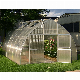  Greenhouse Film Plastic PE Film UV Resistant Horticulture Covering Film Tunnel Film