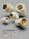  Era Certified for Hot and Cold Water Plastic Fitting ASTM D2846 Standard Plastic/CPVC/Pressure Pipe Fittings
