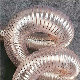 12 Vacuum Hose HVAC Duct Hose Ventilation Hose for Welding