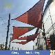  Rectangle Triangle 180g HDPE Sun Shade Sail UV Blocking Outdoor Canopy Awning