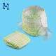  Baby Disposable Baby Diaper Pants China