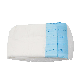  Free Sample High Absorption Disposable Adult Diapers for Adult