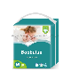 OEM Disposable Baby Diaper Smooth Baby Pants Diaper Wholesale Baby Diapers