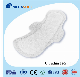  Best Selling Sanitary Napkin Soft Comfortable Non-Allergy Lady Maxi Woman Sanitary Pad