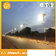  Ce RoHS 8m 9m 10m Solar LED Lights Road Lamps Solar Street Light Fittings
