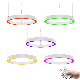  Building Pendant Light White Wholesale Customization School Supermarket Aluminum Fitting Rgwb for Indoor Lighting