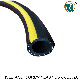  Family PVC Fiber Reinforced Gas / LPG Hose